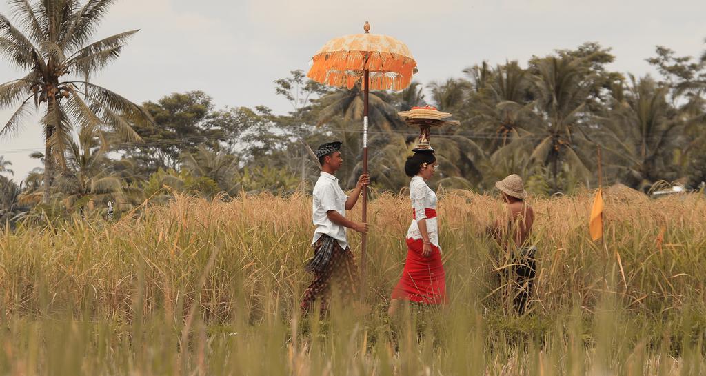 Kishi-Kishi Ubud Villas Buitenkant foto