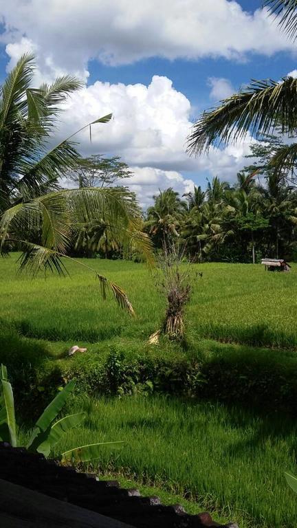 Kishi-Kishi Ubud Villas Buitenkant foto