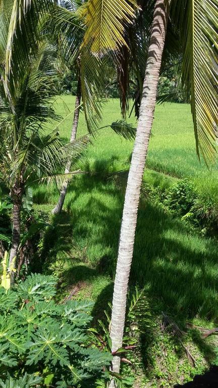 Kishi-Kishi Ubud Villas Buitenkant foto