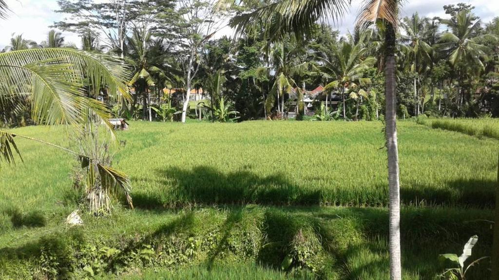 Kishi-Kishi Ubud Villas Buitenkant foto
