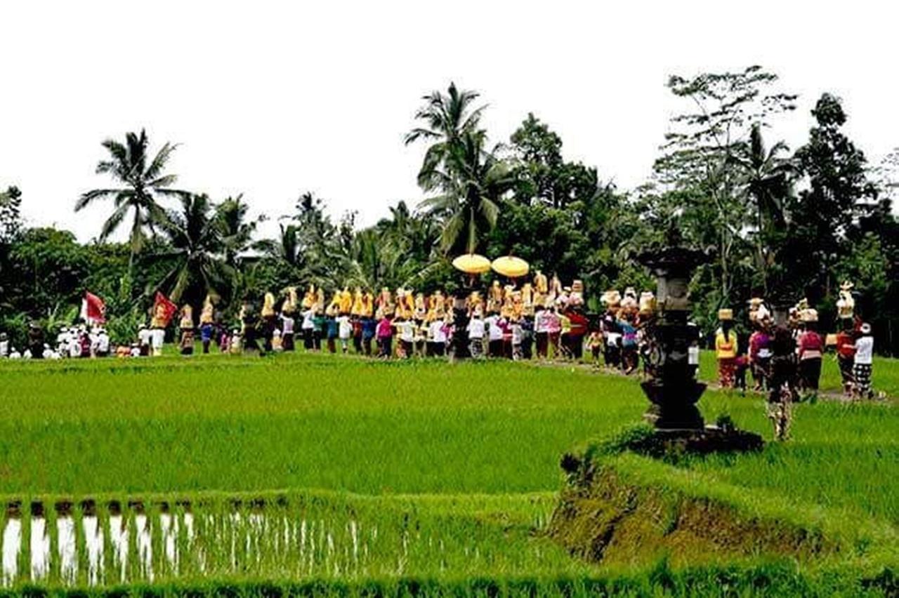 Kishi-Kishi Ubud Villas Buitenkant foto