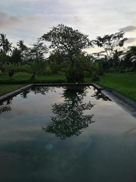Kishi-Kishi Ubud Villas Buitenkant foto